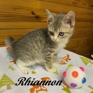 Rhiannon thumbnail 3