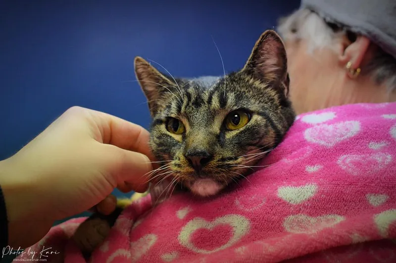 Fortune Orchard thumbnail 2