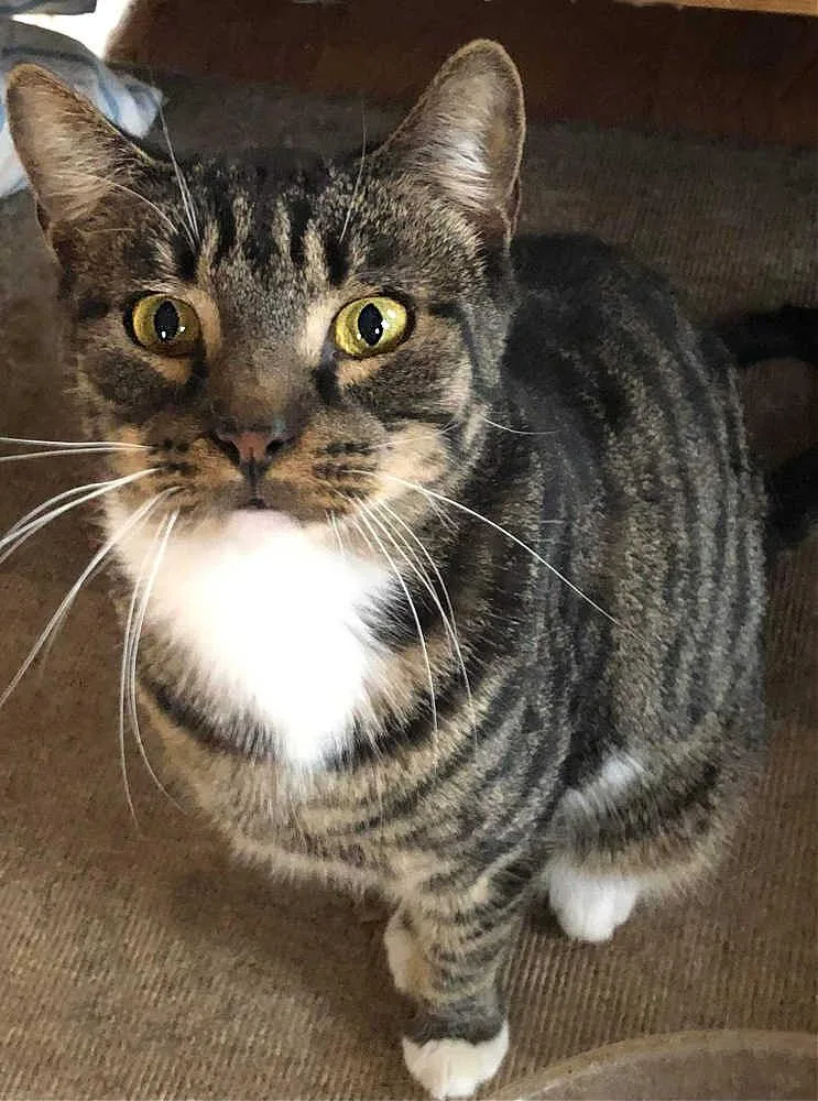 Fortune Orchard thumbnail 4