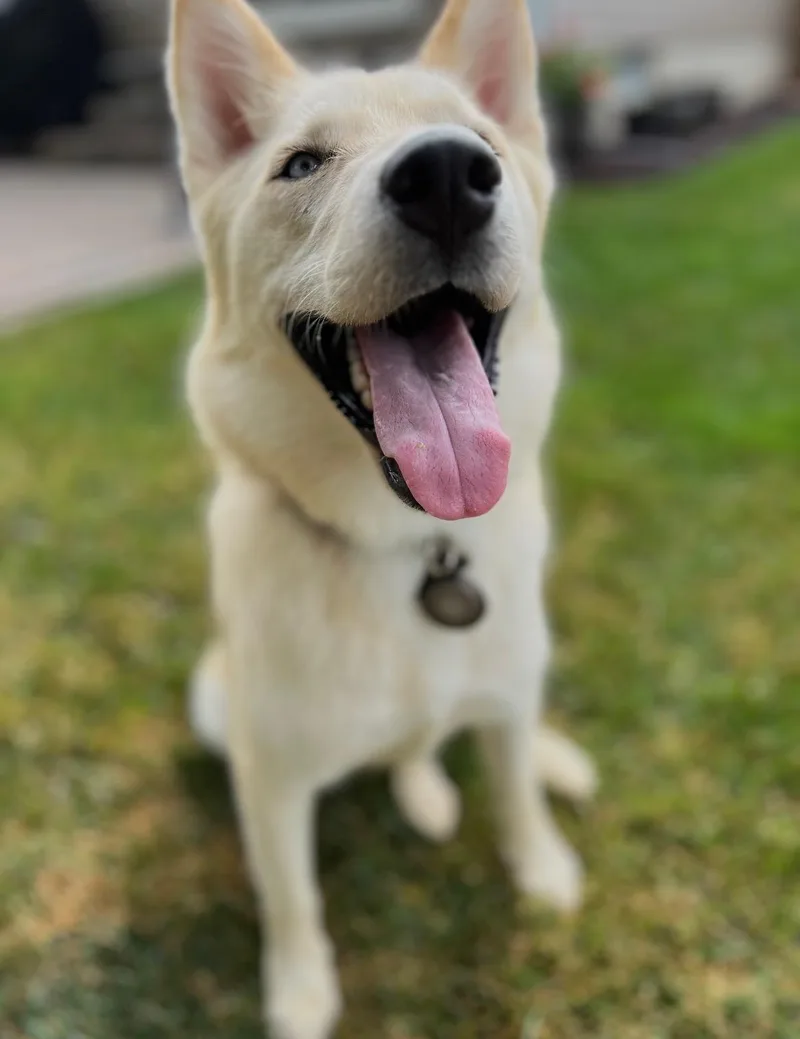 Freya