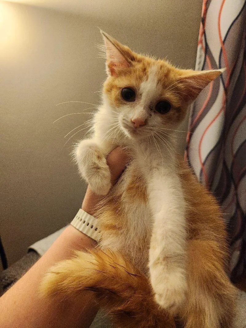 Uncrustable thumbnail 3