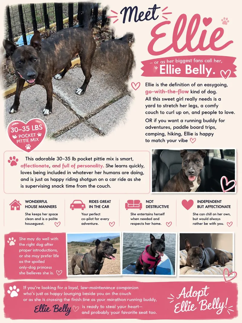 Ellie Aka Ellie Belly thumbnail 2