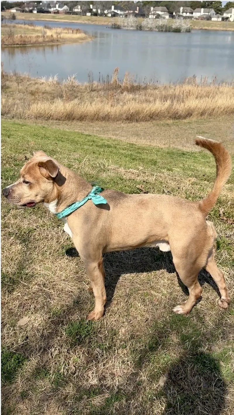 Dewey Blonde & Beautiful! thumbnail 2