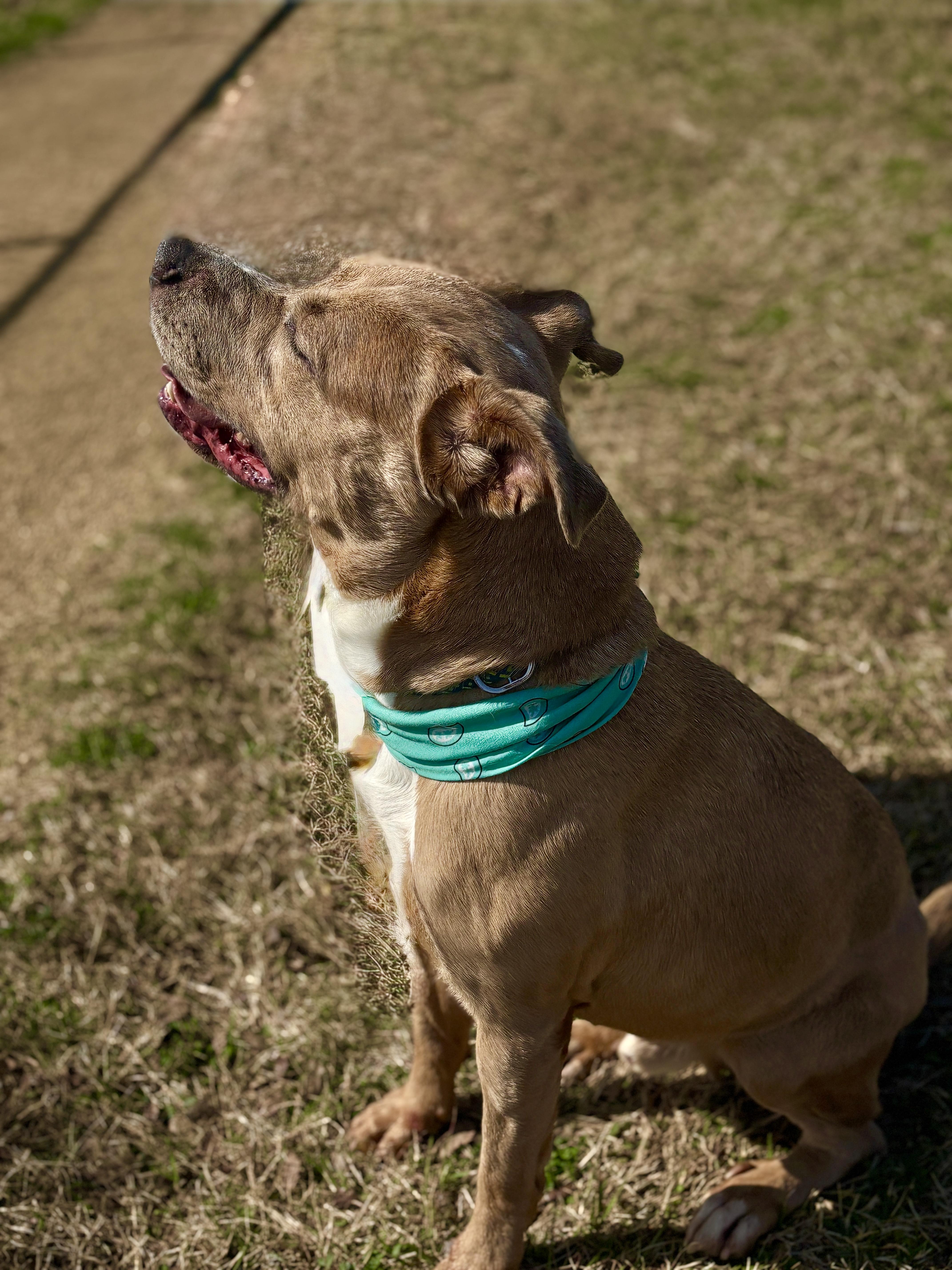 Dewey Blonde & Beautiful! thumbnail 3