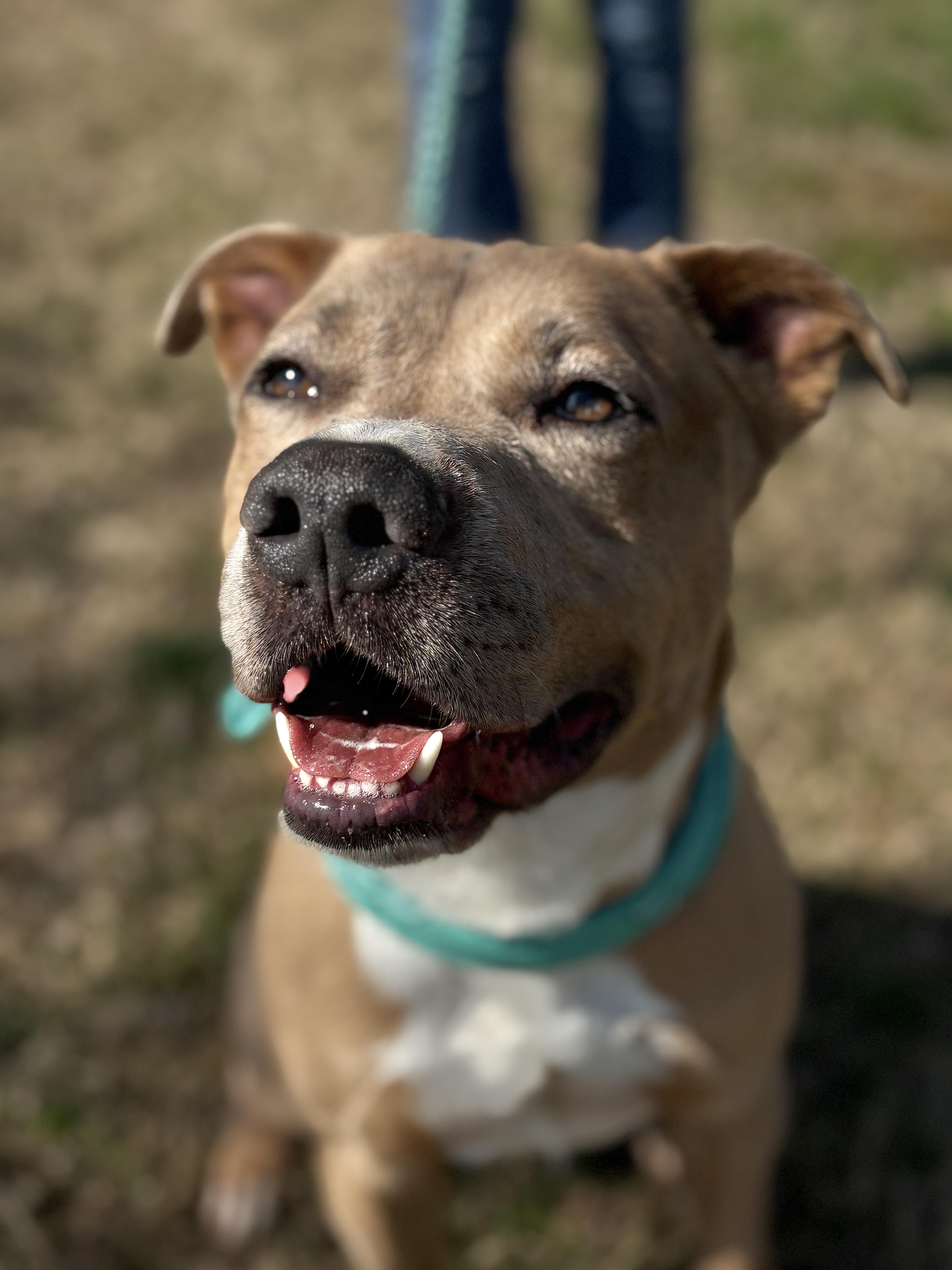 Dewey Blonde & Beautiful! thumbnail 4