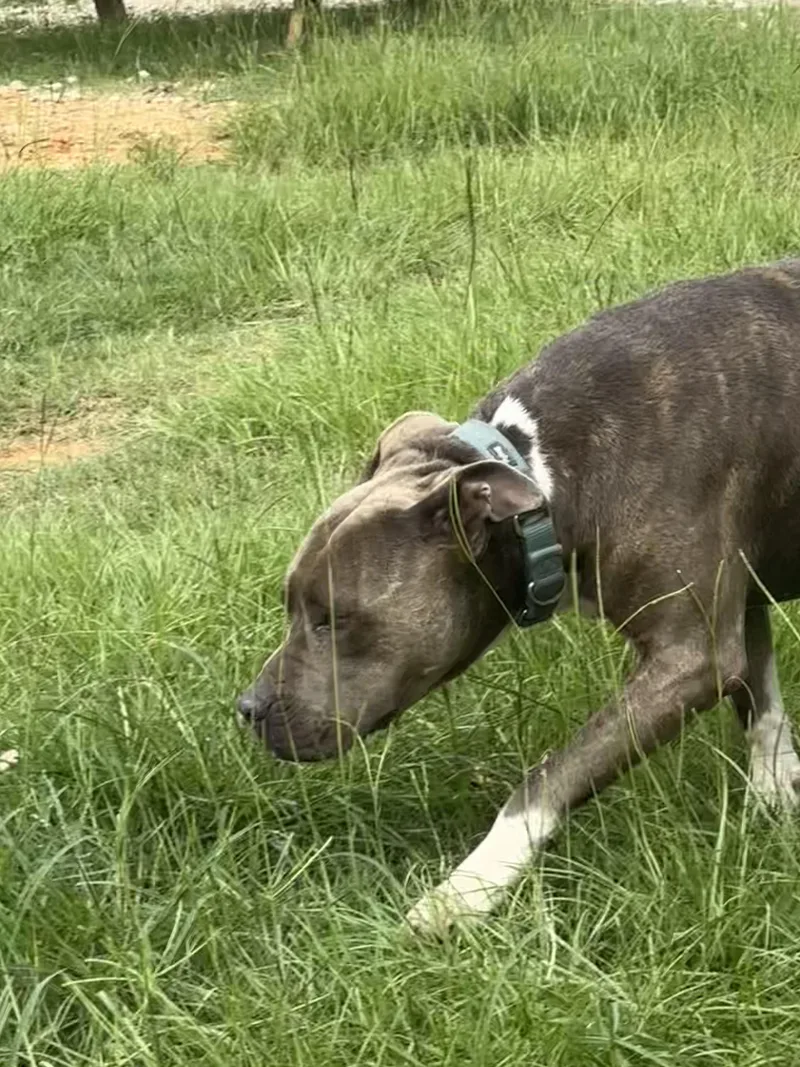 Rockstar thumbnail 5