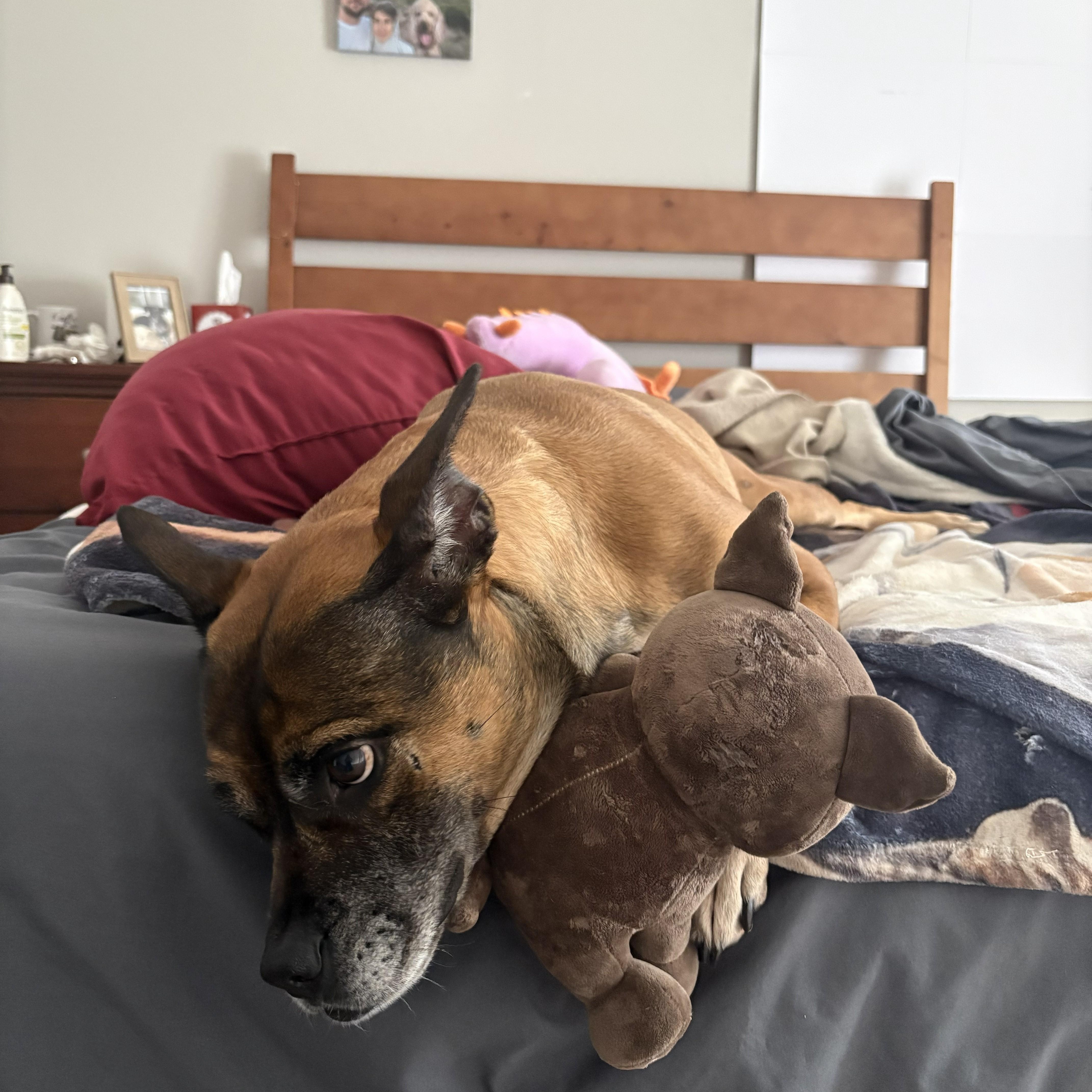 Sadie Dream Girl! thumbnail 2