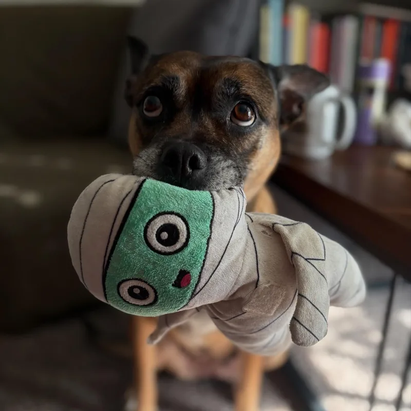 Sadie Dream Girl! thumbnail 3