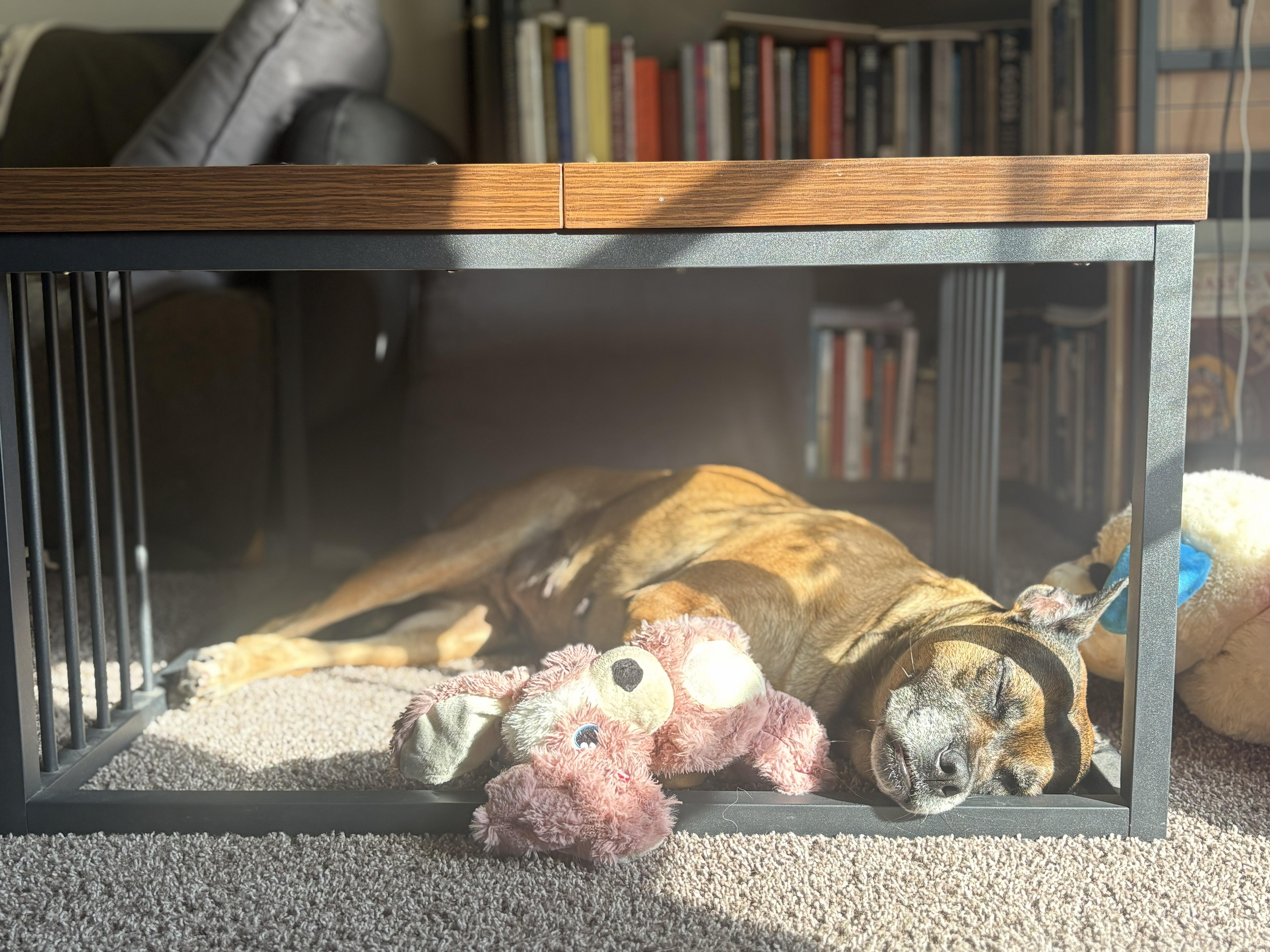 Sadie Dream Girl! thumbnail 5