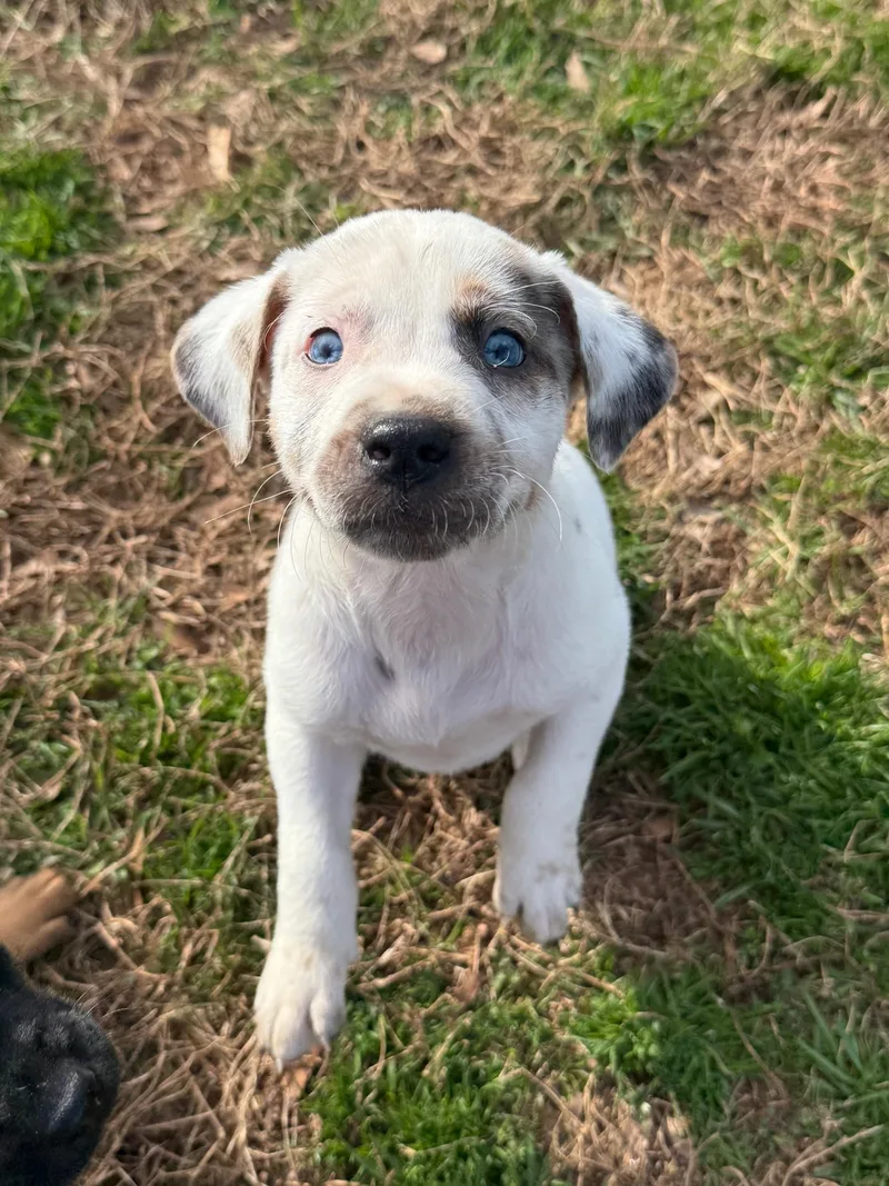 Crush Heart thumbnail 5