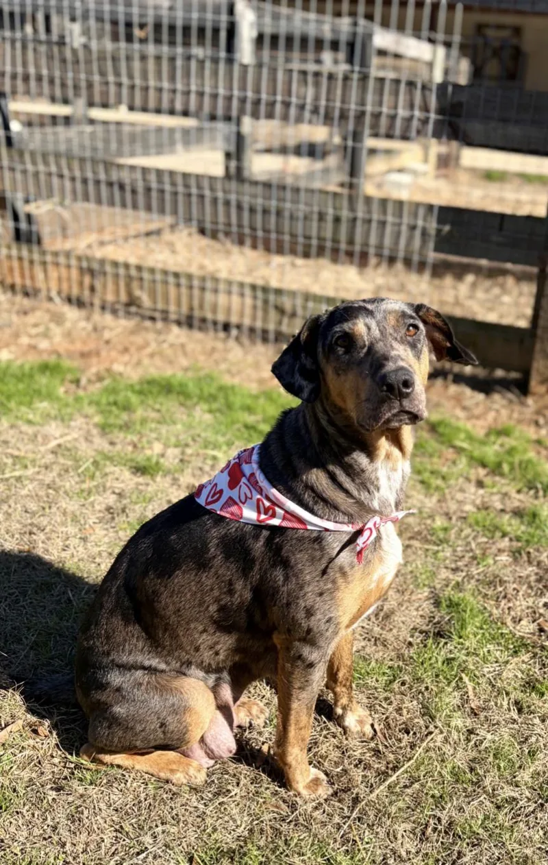 Crush Heart thumbnail 6