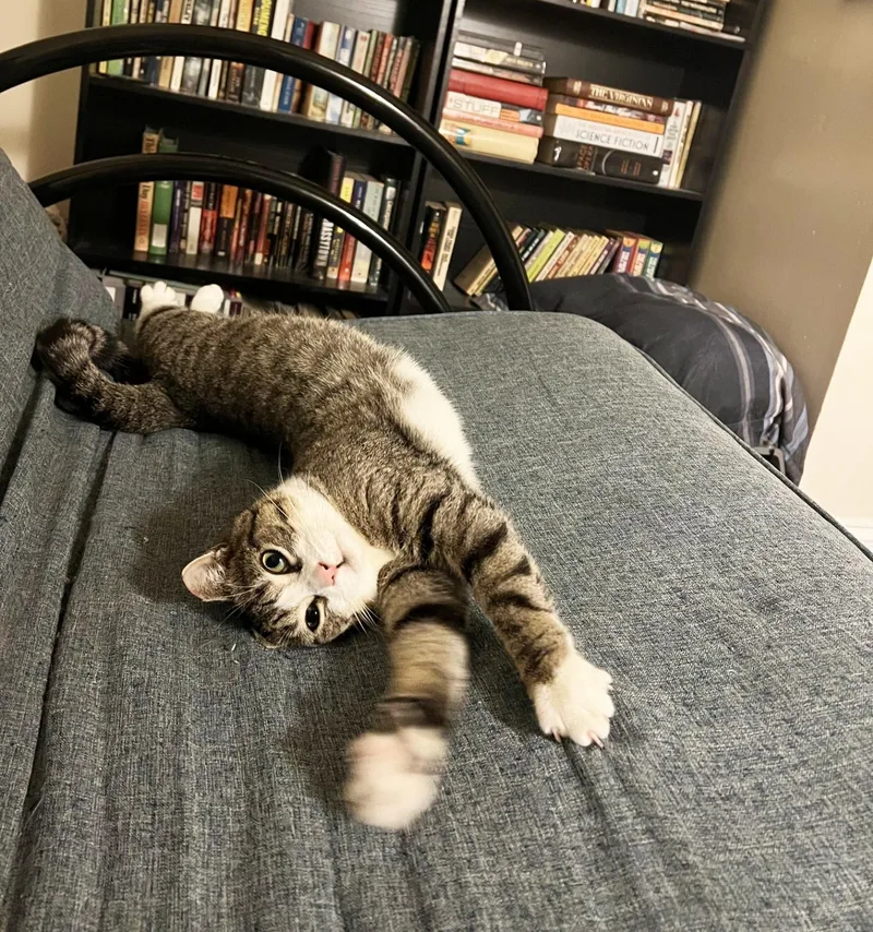 Mieko Market thumbnail 2