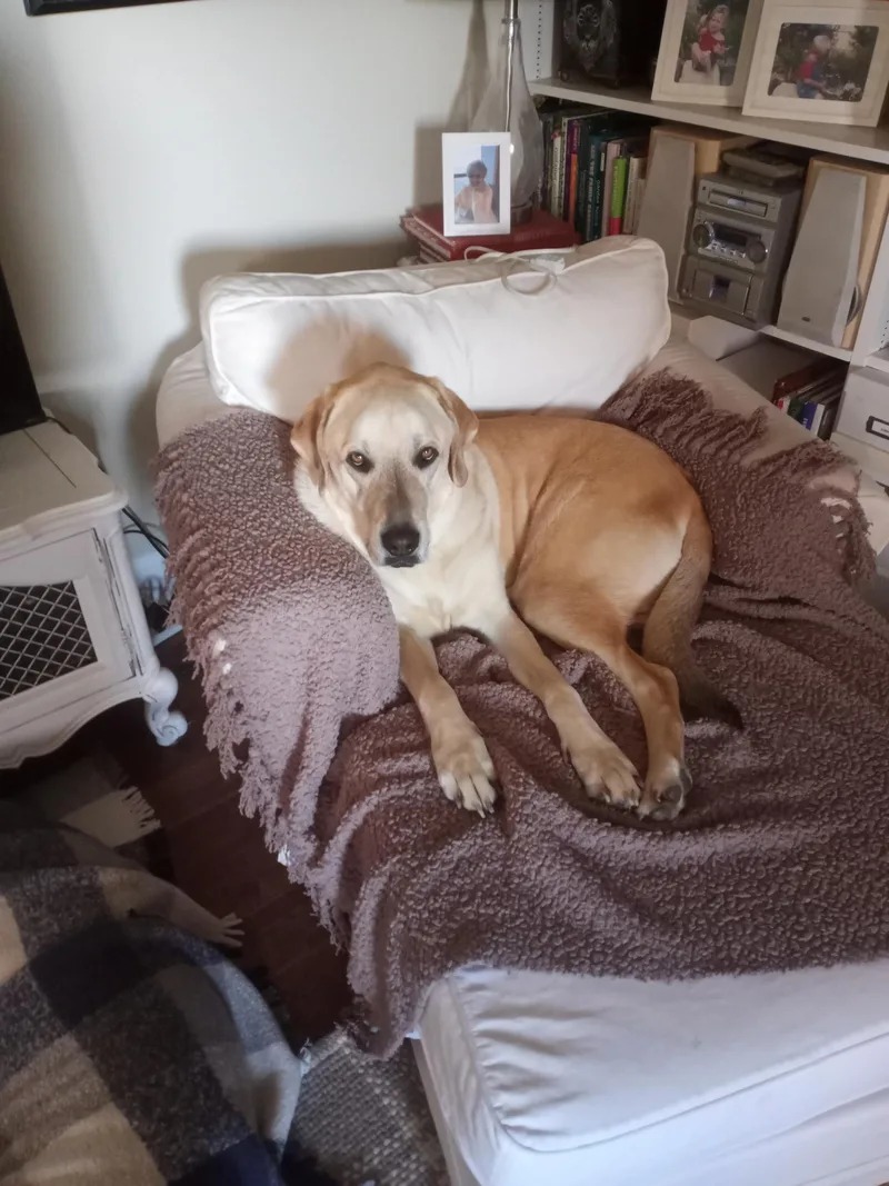 Leroy And Charlie thumbnail 2