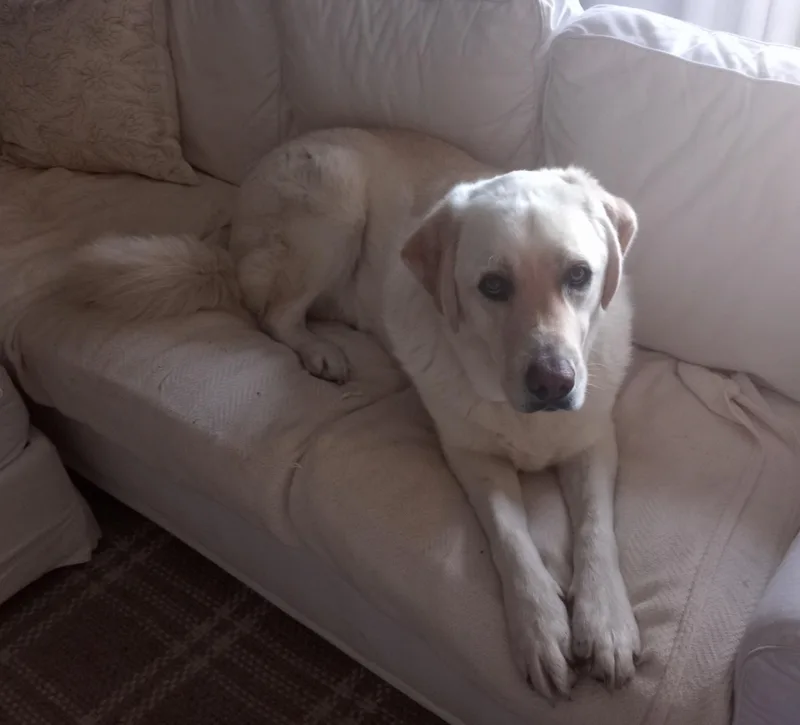 Leroy And Charlie thumbnail 3