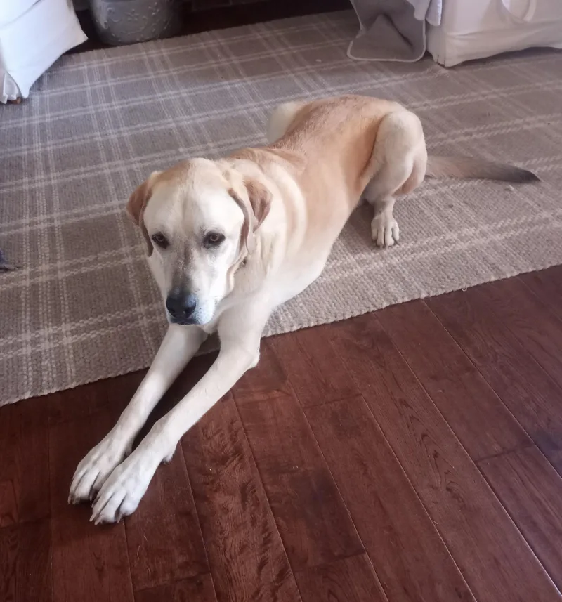 Leroy And Charlie thumbnail 4