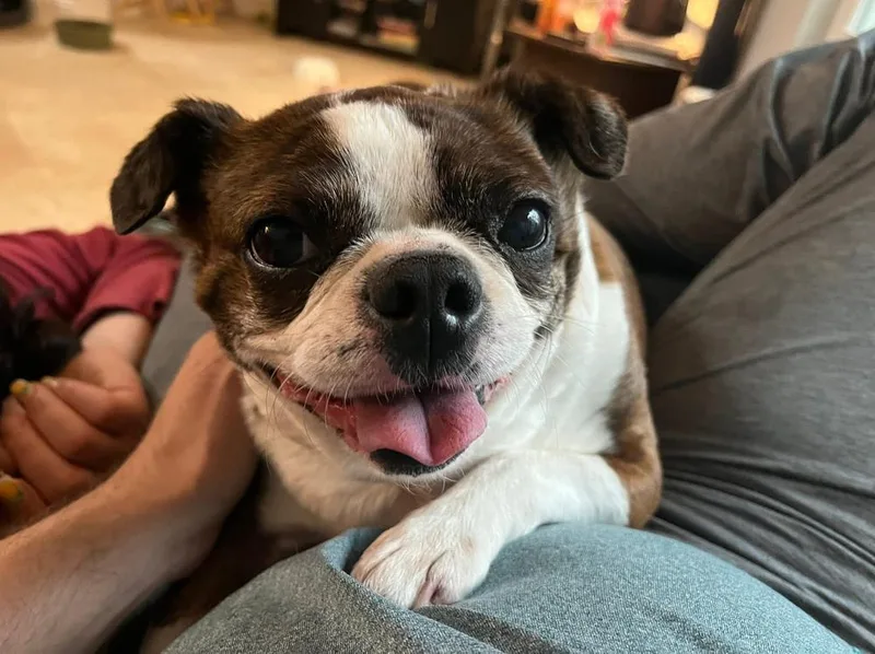 Frankie Hewey   thumbnail 2