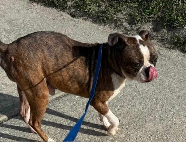 Frankie Hewey   thumbnail 3