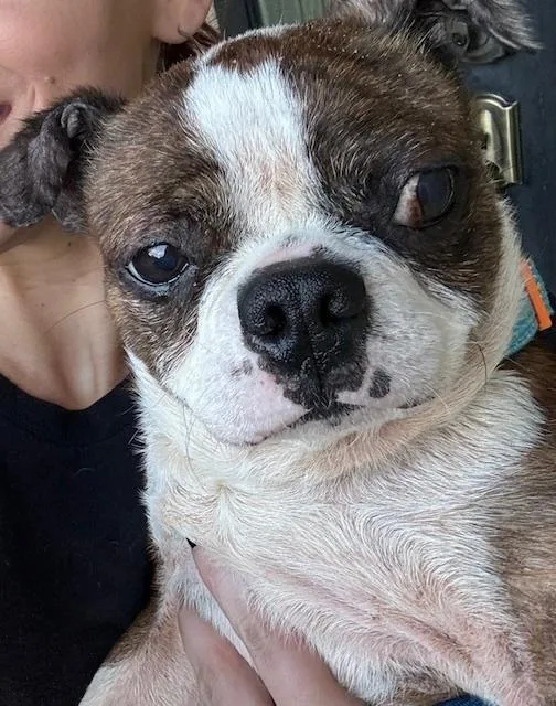 Frankie Hewey   thumbnail 4