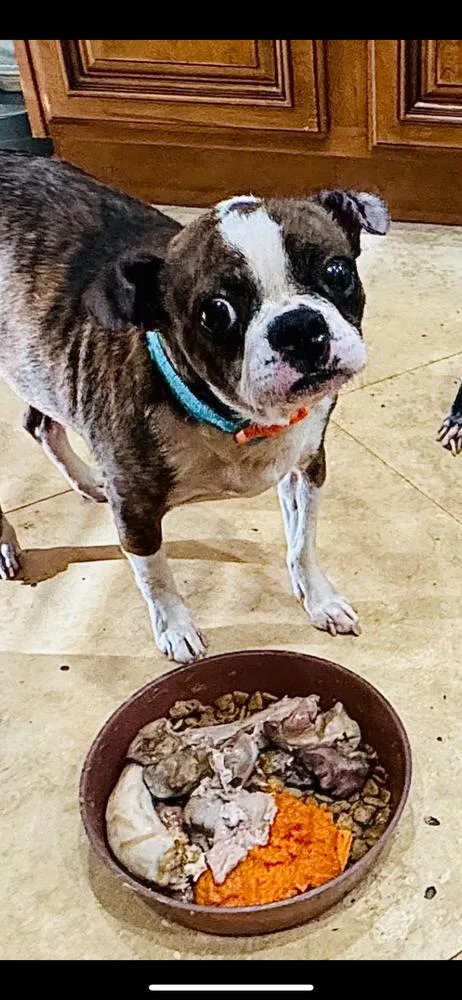 Frankie Hewey   thumbnail 5