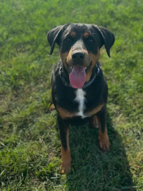 Sally