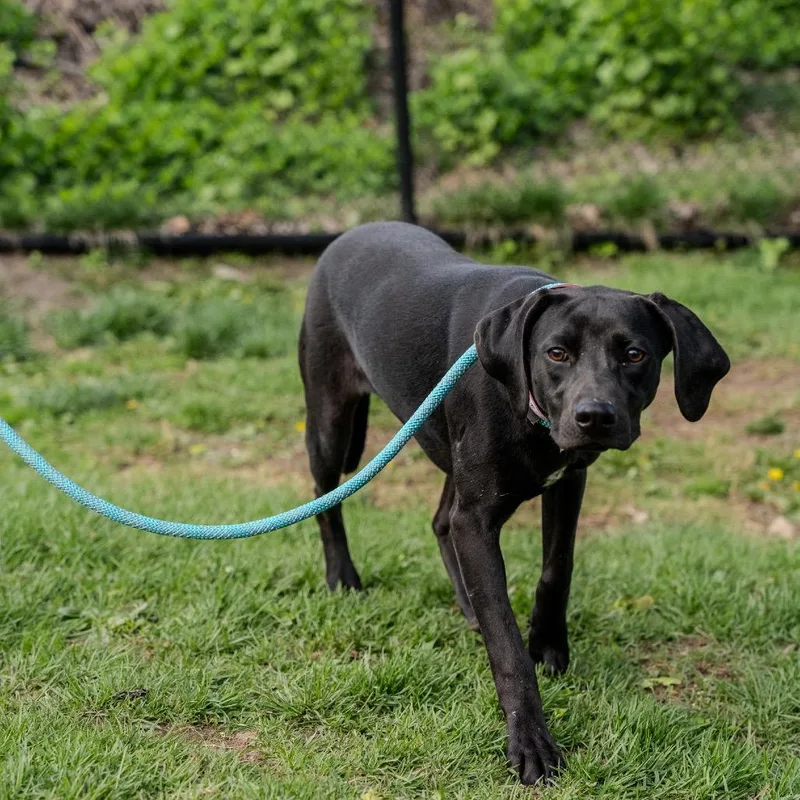 Sunny Sue thumbnail 2