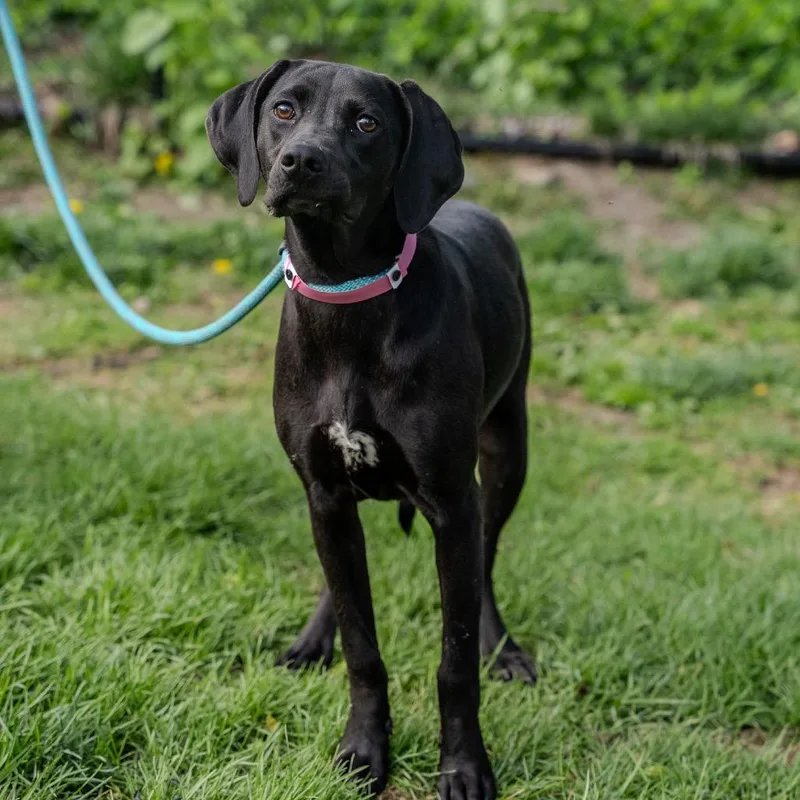 Sunny Sue thumbnail 3