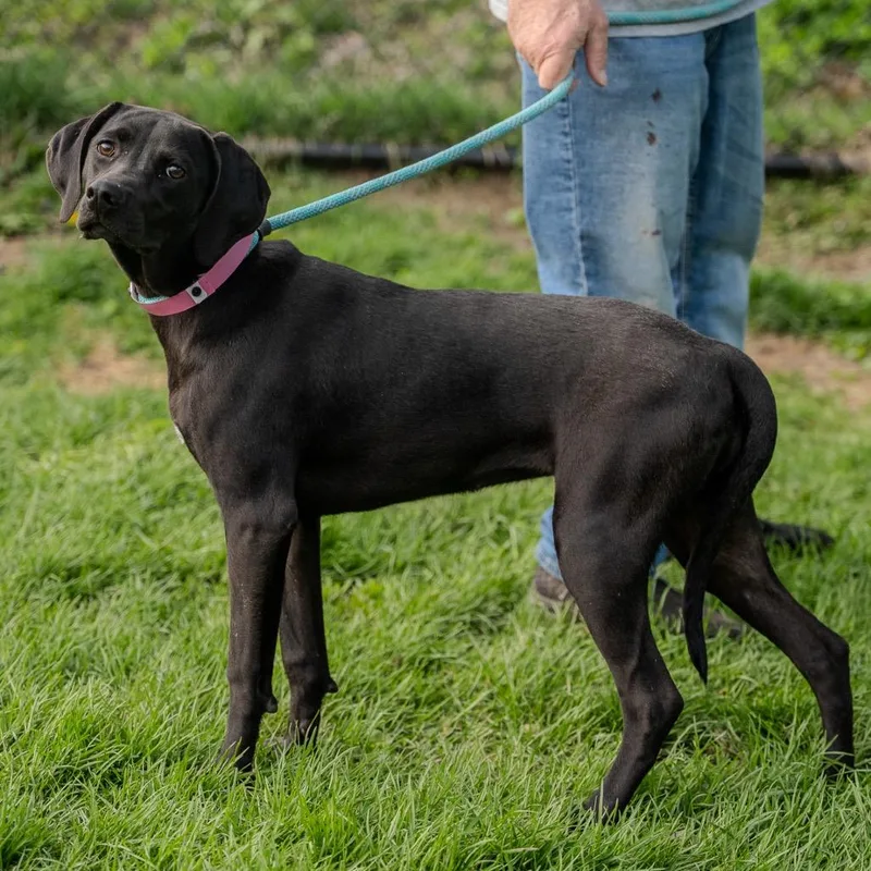 Sunny Sue thumbnail 4