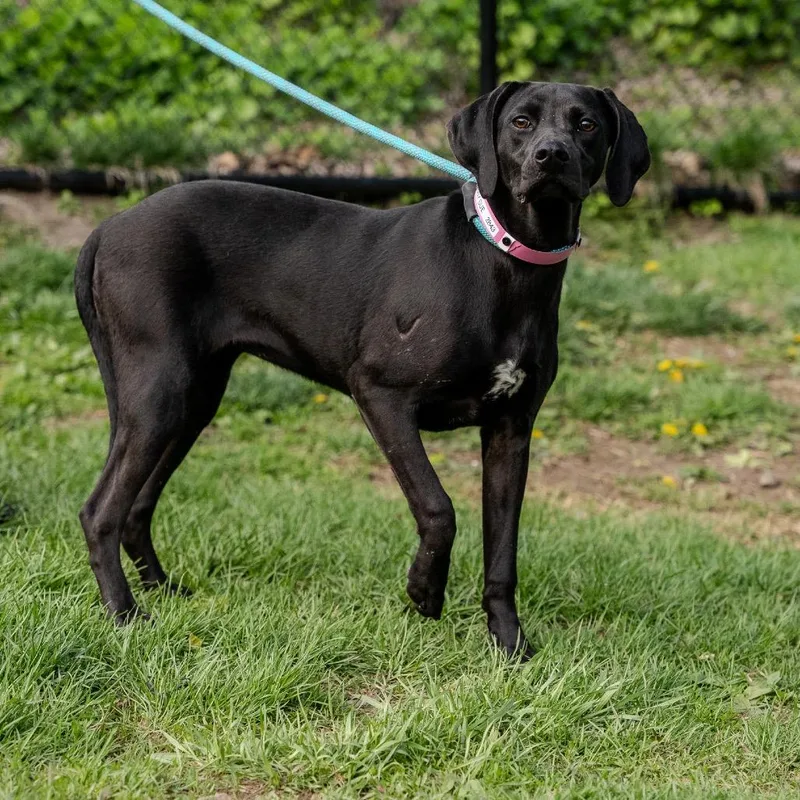 Sunny Sue thumbnail 5