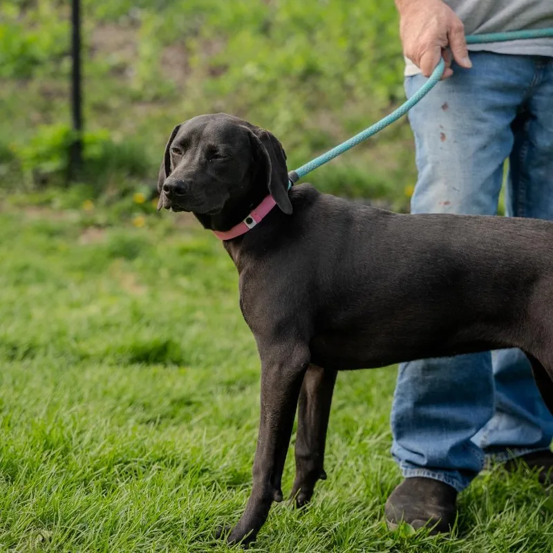 Sunny Sue thumbnail 6