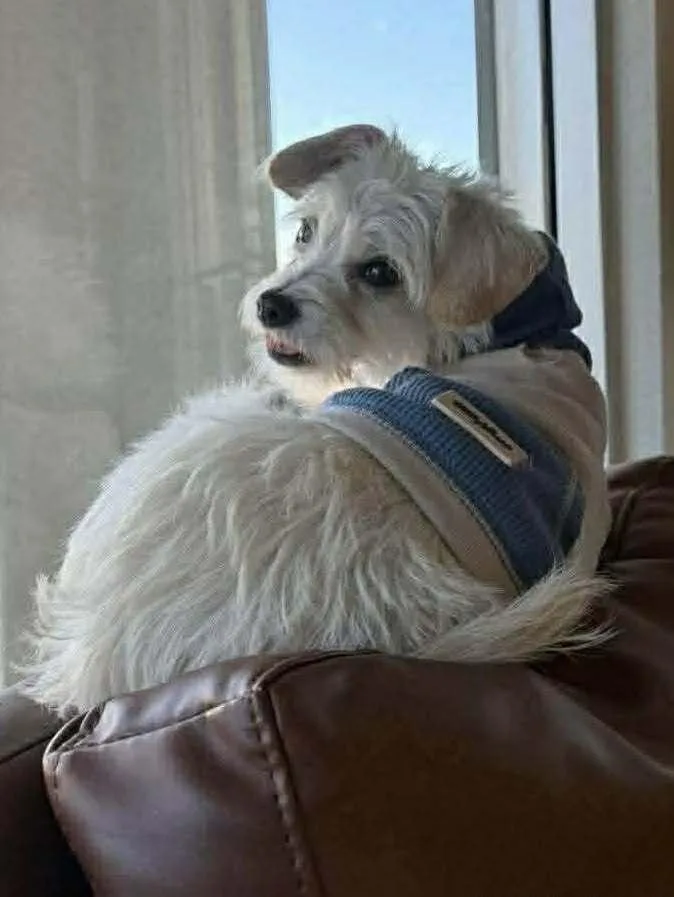 Johnny Appleseed thumbnail 2