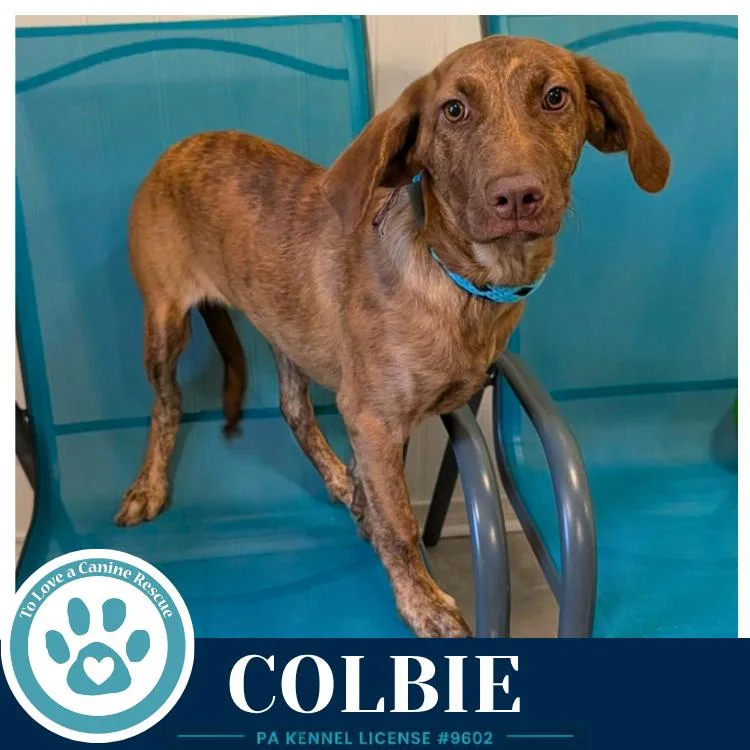 Colbie thumbnail 2