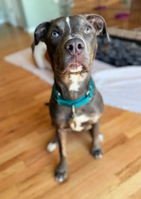 Ellie