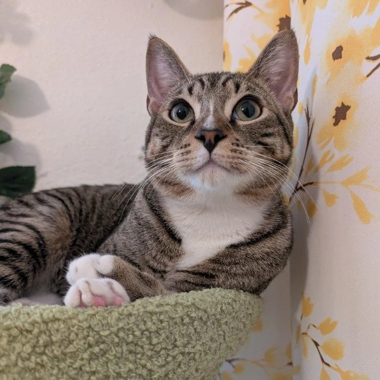 Glenn With  N's thumbnail 2