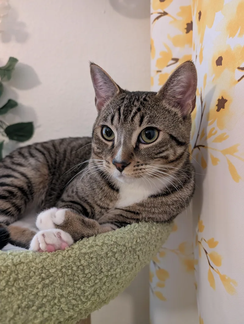 Glenn With  N's thumbnail 3