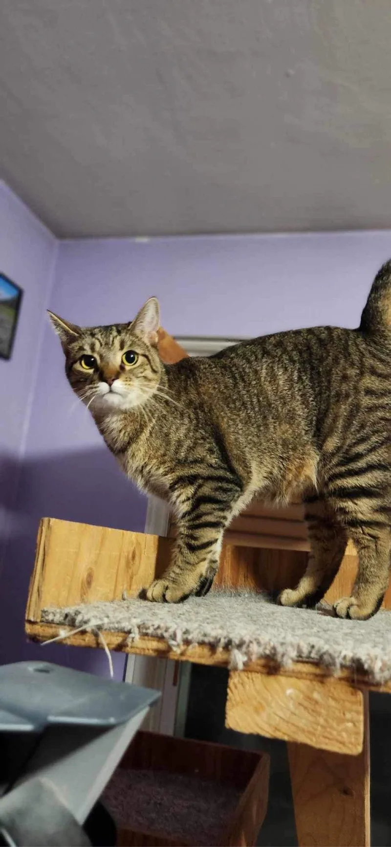 Lilly  Ad thumbnail 2