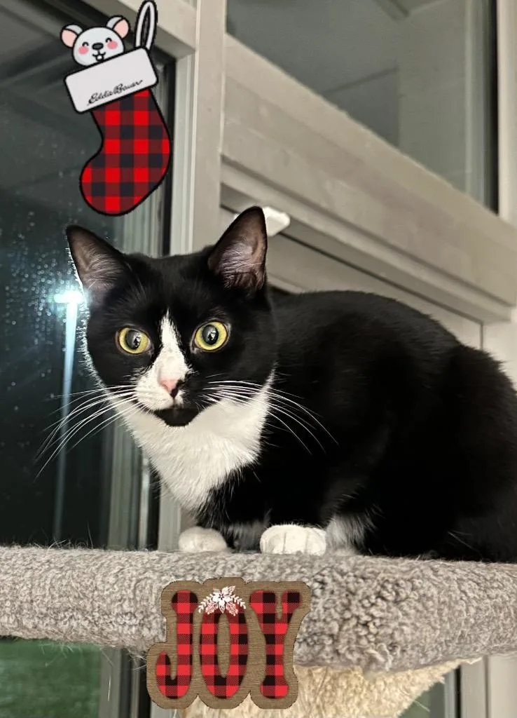 Katie thumbnail 6