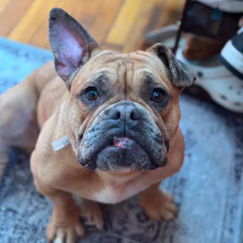 Rosie