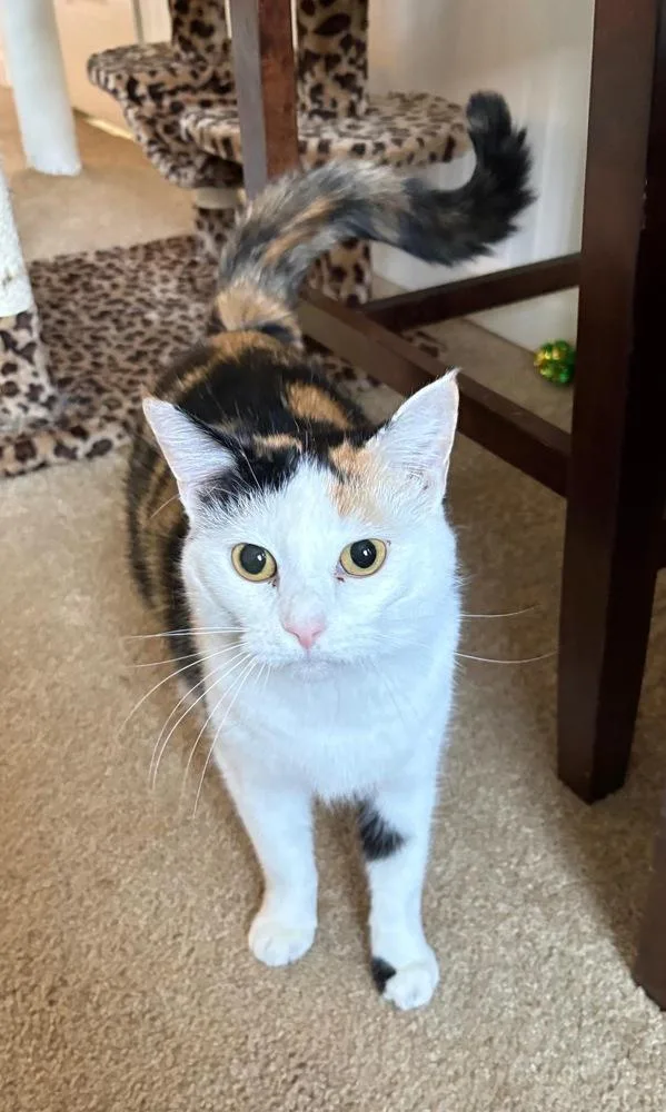 Isabella thumbnail 2