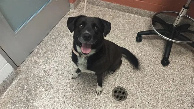 Maggie