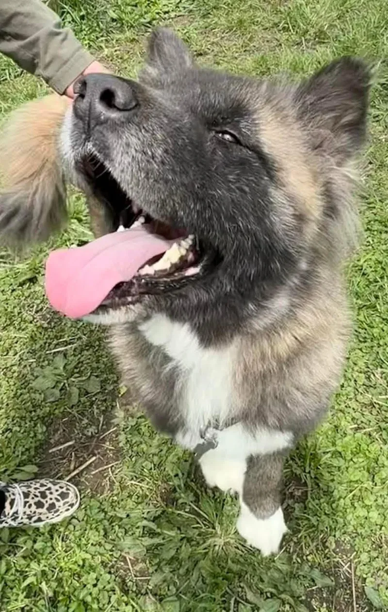 Ricky