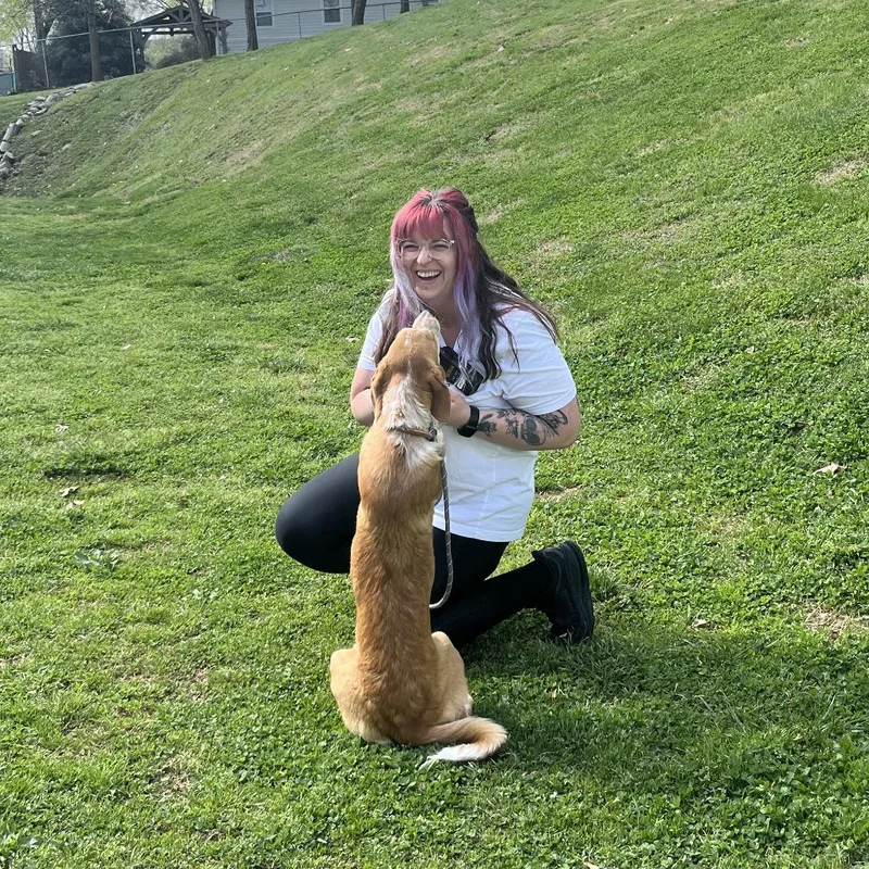 Supergirl thumbnail 2