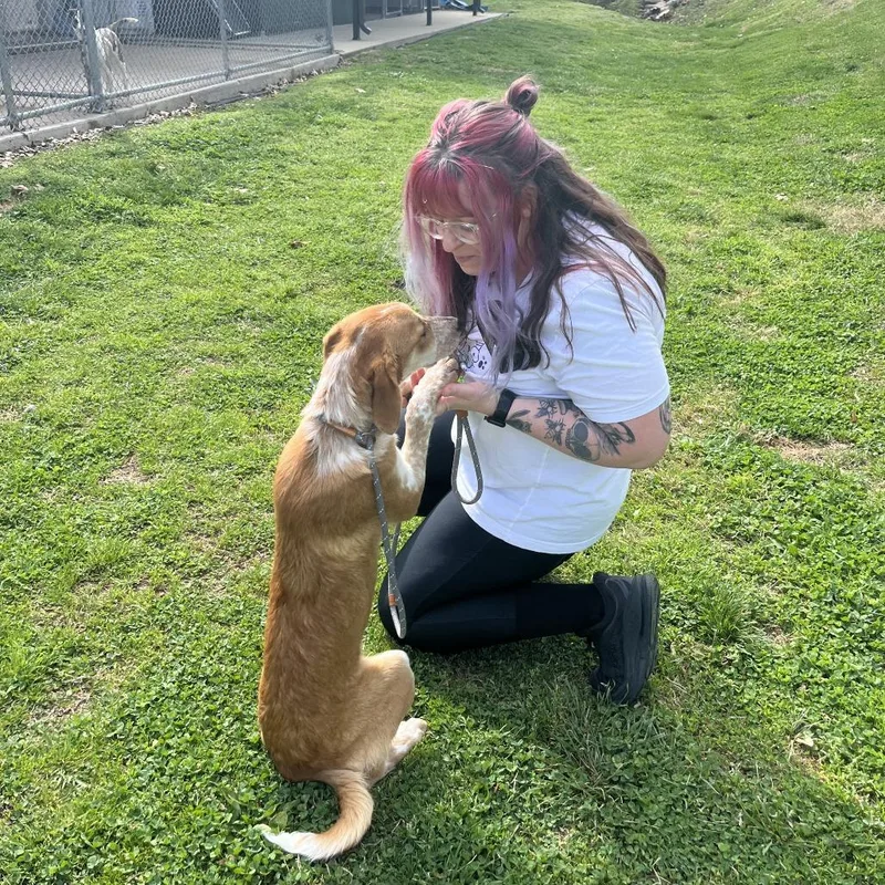 Supergirl thumbnail 3