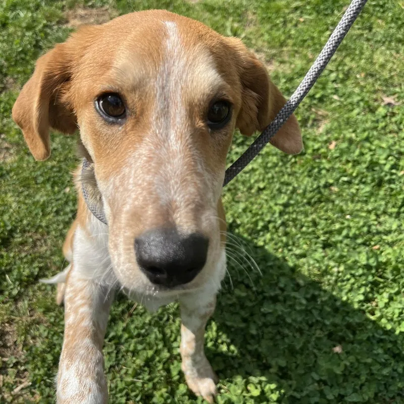 Supergirl thumbnail 5