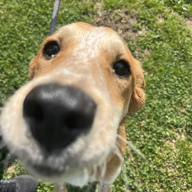 Supergirl thumbnail 6