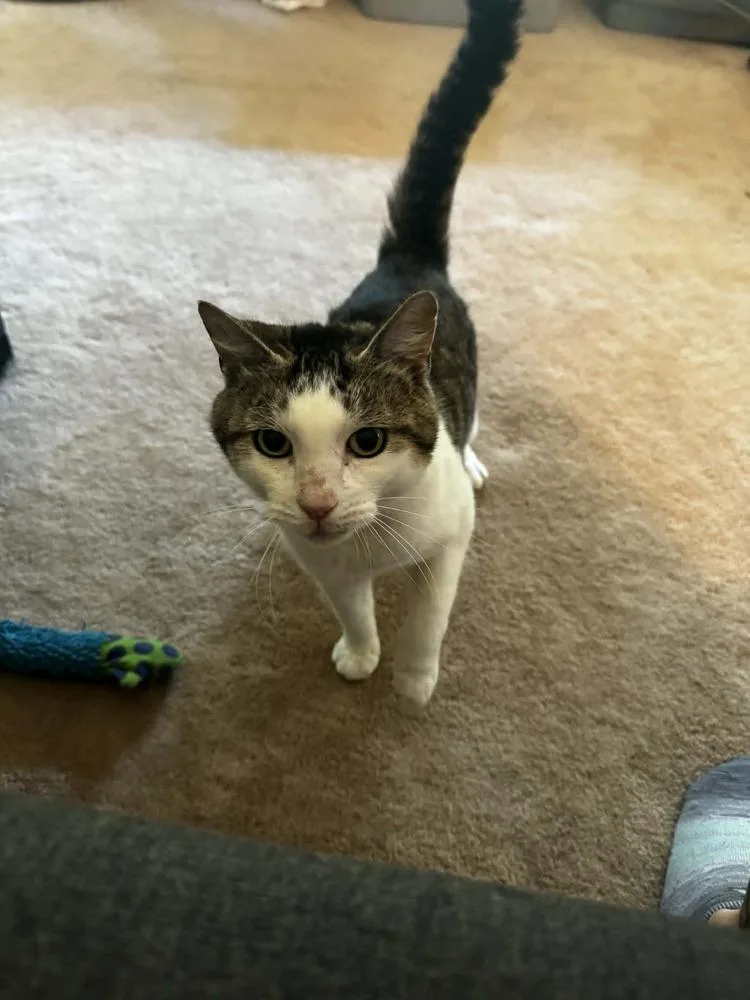 Sally Catrera thumbnail 2