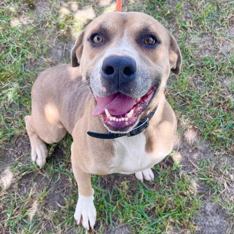 John Denver thumbnail 2