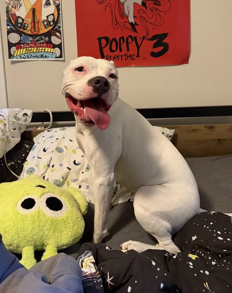 Maggie thumbnail 3