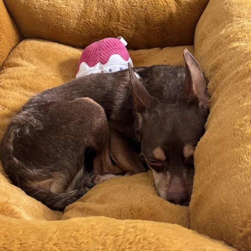 Hershey thumbnail 3