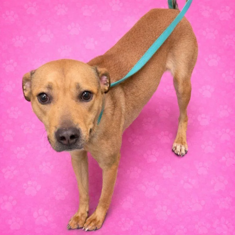 Princess thumbnail 2