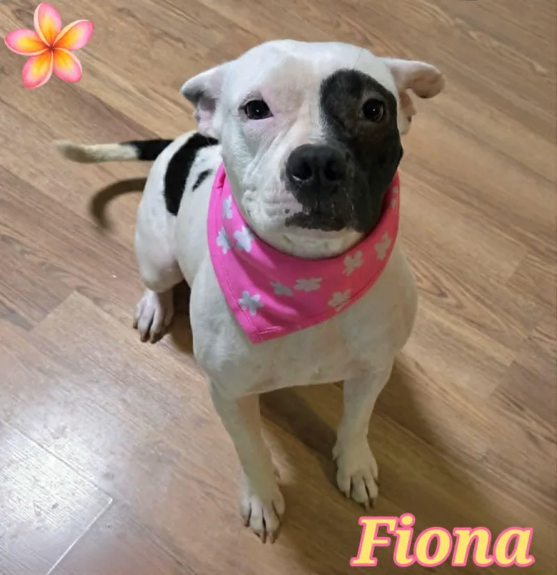 Fiona thumbnail 2